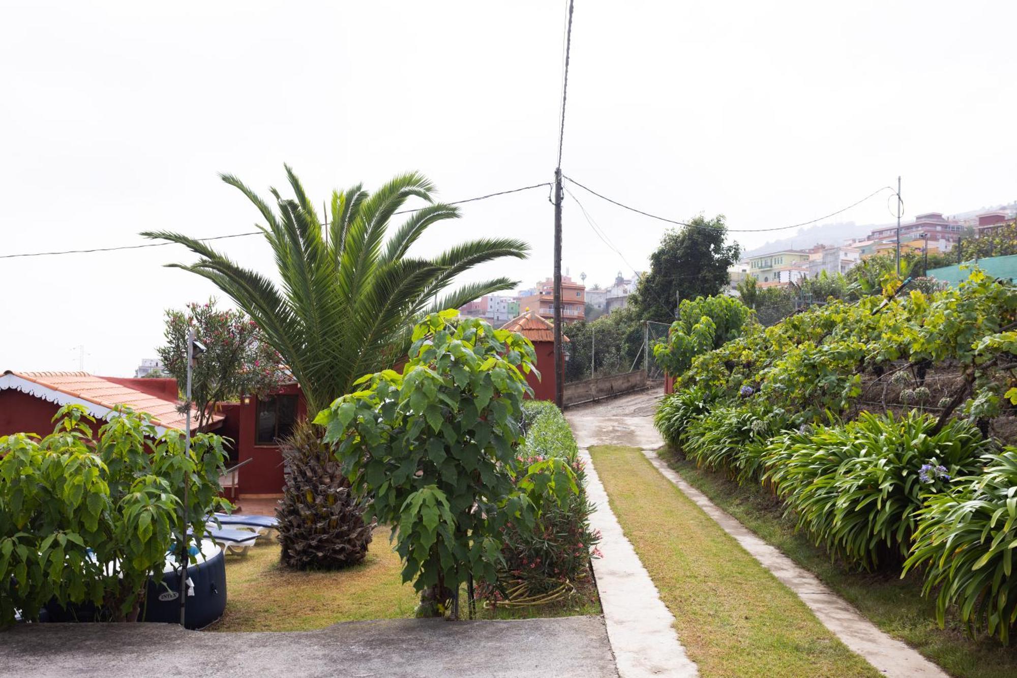 Home2Book Serene Retreat Isabel, Jacuzzi & Garden Icod el Alto Eksteriør billede